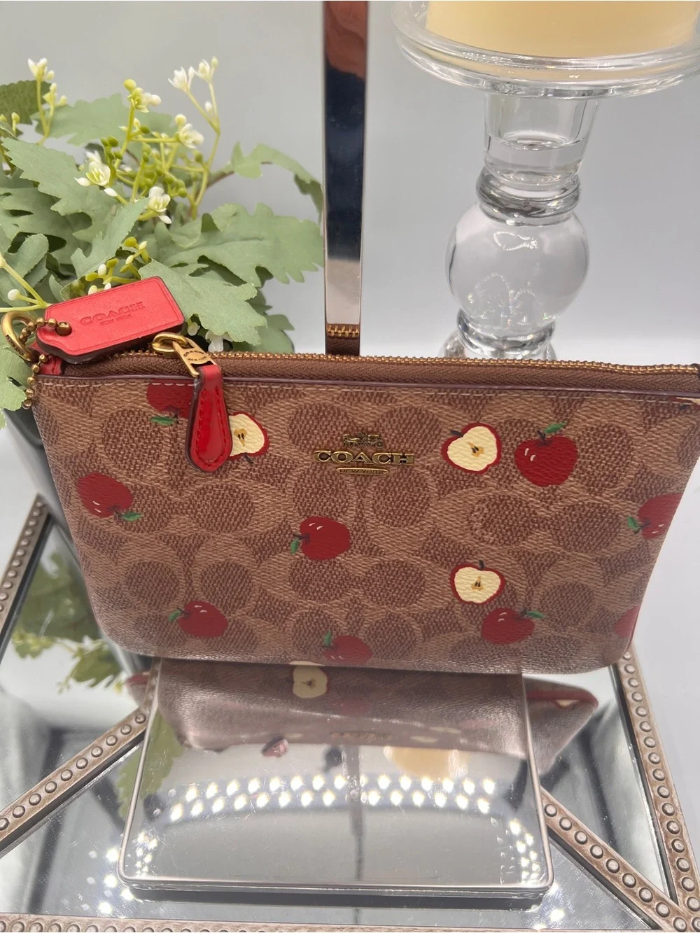Coach Signature Apple Print Brown Pouch